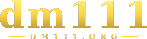 dm111 logo